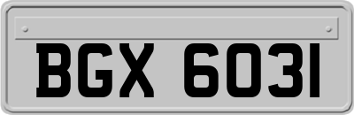BGX6031