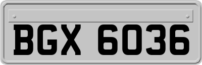 BGX6036