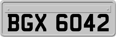 BGX6042