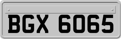 BGX6065