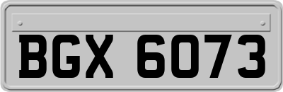 BGX6073