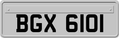 BGX6101