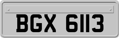 BGX6113