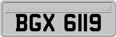 BGX6119