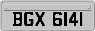 BGX6141