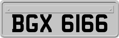 BGX6166