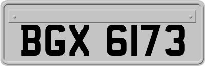 BGX6173