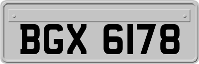 BGX6178