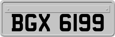 BGX6199