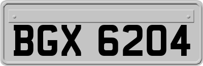 BGX6204