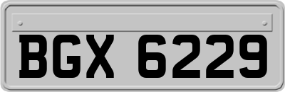 BGX6229
