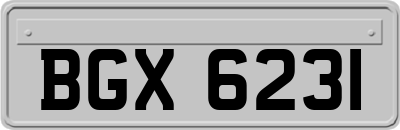 BGX6231