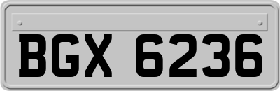 BGX6236