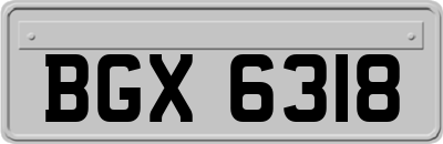 BGX6318