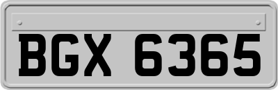 BGX6365
