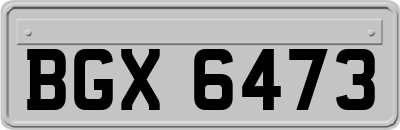 BGX6473
