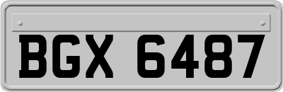 BGX6487