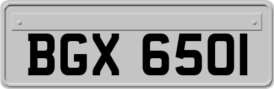 BGX6501