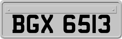 BGX6513