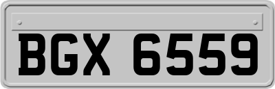 BGX6559