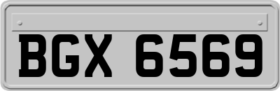 BGX6569