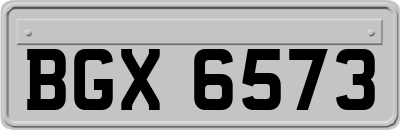 BGX6573