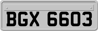 BGX6603