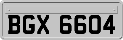 BGX6604