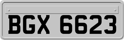 BGX6623