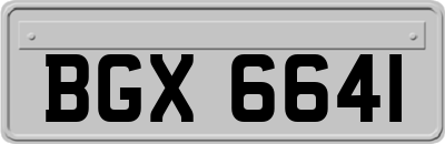 BGX6641