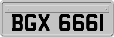BGX6661