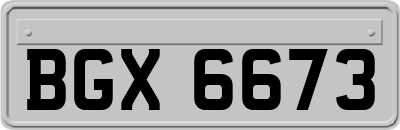 BGX6673