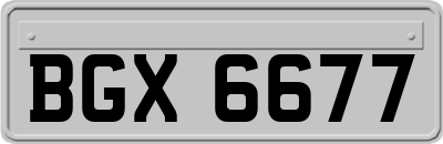 BGX6677