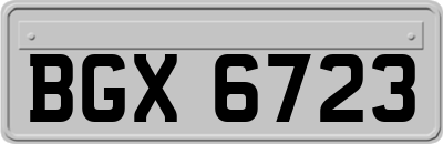 BGX6723