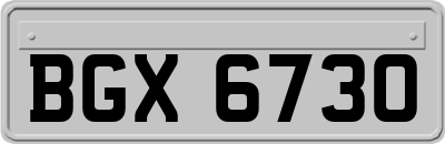 BGX6730