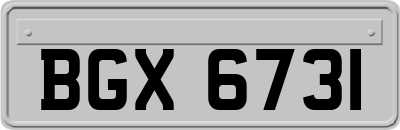 BGX6731