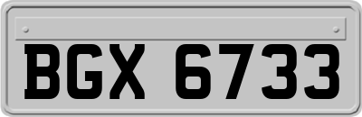 BGX6733