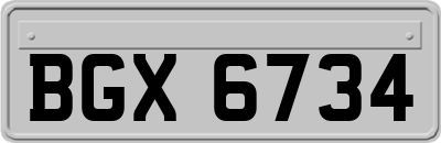 BGX6734