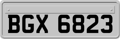 BGX6823
