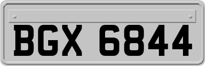 BGX6844