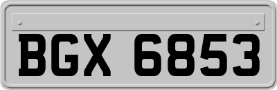 BGX6853