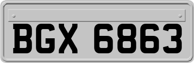 BGX6863