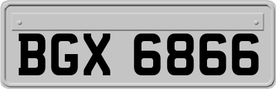 BGX6866