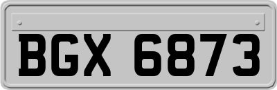 BGX6873