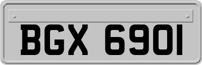 BGX6901