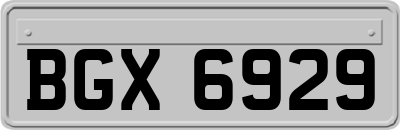 BGX6929
