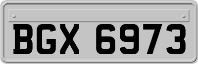 BGX6973