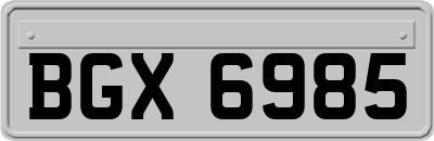 BGX6985