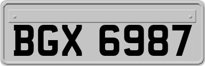 BGX6987