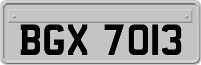 BGX7013